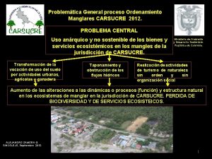 Problemtica General proceso Ordenamiento Manglares CARSUCRE 2012 PROBLEMA