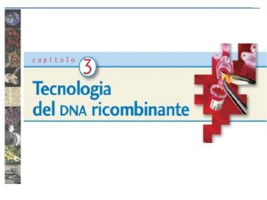 Lingegneria genetica lalterazione volontaria del materiale genetico di