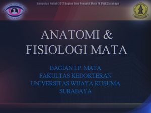 Anatomi dan fisiologi mata
