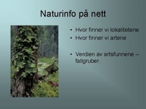 Naturinfo p nett Hvor finner vi lokalitetene Hvor