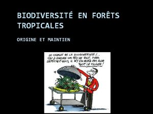 BIODIVERSIT EN FORTS TROPICALES ORIGINE ET MAINTIEN Introduction