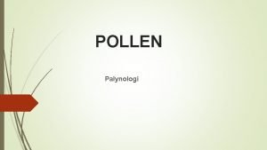 Pollen utseende