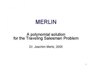 MERLIN A polynomial solution for the Traveling Salesman