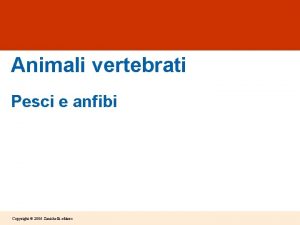 Animali vertebrati Pesci e anfibi Copyright 2006 Zanichelli