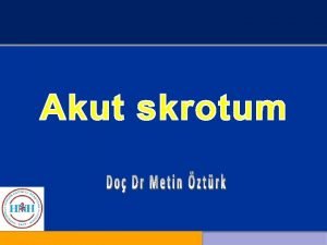 Akut skrotum