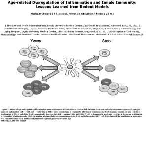 Agerelated Dysregulation of Inflammation and Innate Immunity Lessons