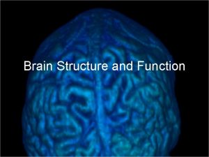 Brain Structure and Function If the human brain