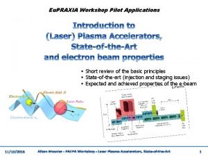 Eu PRAXIA Workshop Pilot Applications Short review of