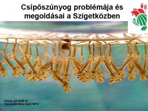 Cspsznyog problmja s megoldsai a Szigetkzben Kimle 2018