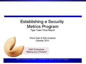 Tiger team security