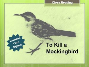 Close Reading To Kill a Mockingbird Page Numbers