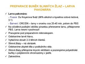 PREPARACE BUNK SLINNCH LAZ LARVA PAKOMRA Larva pakomra