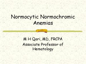 Normocytic Normochromic Anemias M H Qari MD FRCPA