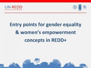 Entry points for gender equality womens empowerment concepts