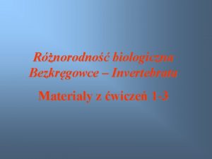 Rnorodno biologiczna Bezkrgowce Invertebrata Materiay z wicze 1
