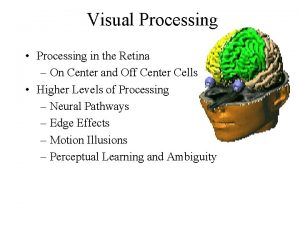 Visual Processing Processing in the Retina On Center