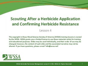 Scouting After a Herbicide Application and Confirming Herbicide