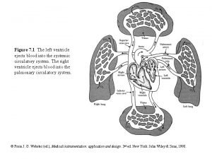 Figure 7 1 The left ventricle ejects blood