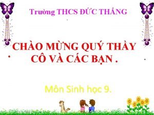 Trng THCS C THNG CHO MNG QU THY