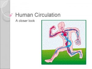 Cardiac output