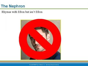 Efron nephron
