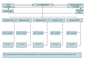 Accounting Officer Audit Committee Risk Management Committee Chief