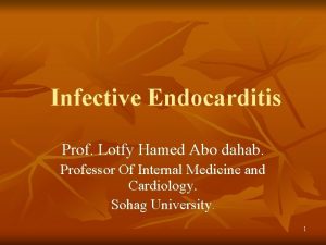 Infective Endocarditis Prof Lotfy Hamed Abo dahab Professor