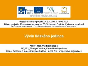 Zenske ustroji