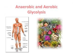 Anaerobic and Aerobic Glycolysis Topics that will be