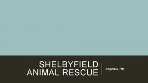 SHELBYFIELD ANIMAL RESCUE Adoptable Pets MISSION to rescue