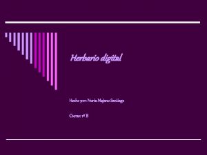 Herbario digital Hecho por Nuria Majano Santiago Curso