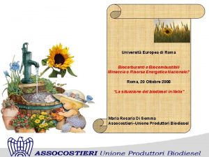 Universit Europea di Roma Biocarburanti e Biocombustibili Minaccia