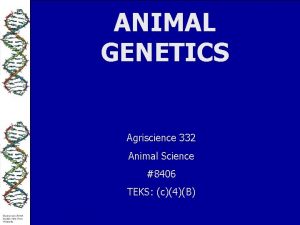 ANIMAL GENETICS Agriscience 332 Animal Science 8406 TEKS