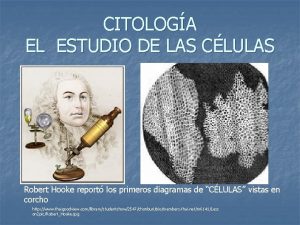 CITOLOGA EL ESTUDIO DE LAS CLULAS Robert Hooke