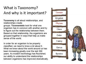 What is taxonomy and why is it important What is taxonomy and why is it important