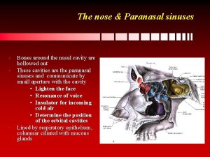 The nose Paranasal sinuses Bones around the nasal