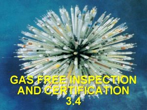 Gas free inspection procedure