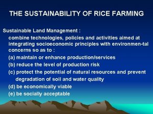 THE SUSTAINABILITY OF RICE FARMING Sustainable Land Management