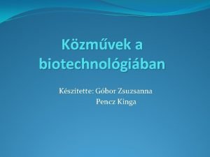 Kzmvek a biotechnolgiban Ksztette Gbor Zsuzsanna Pencz Kinga