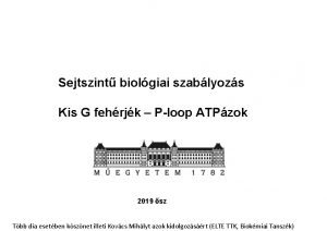 Sejtszint biolgiai szablyozs Kis G fehrjk Ploop ATPzok