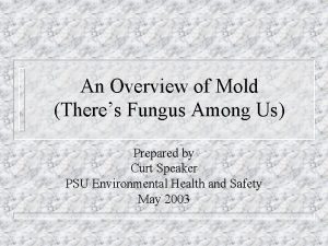 Among us mold