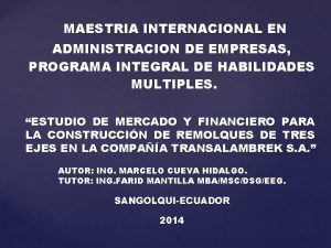 MAESTRIA INTERNACIONAL EN ADMINISTRACION DE EMPRESAS PROGRAMA INTEGRAL