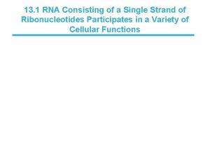 13 1 RNA Consisting of a Single Strand