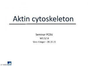 Aktin cytoskeleton Seminar PCDU WS 1516 Vera Krieger