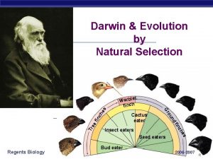 Darwin Evolution by Natural Selection ch he fin