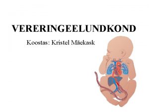 VERERINGEELUNDKOND Koostas Kristel Mekask Vereringeelundkonna moodustavad sda veri