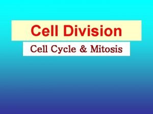 Cell Division Cell Cycle Mitosis Why do cells