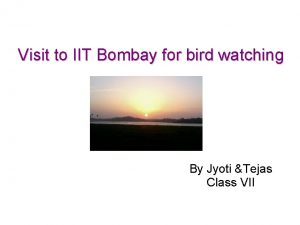 Visit to IIT Bombay for bird watching By