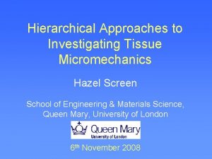 Hierarchical Approaches to Investigating Tissue Micromechanics Hazel Screen