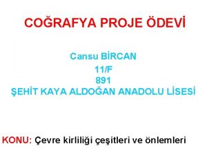 CORAFYA PROJE DEV Cansu BRCAN 11F 891 EHT